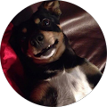 Karen D. profile picture